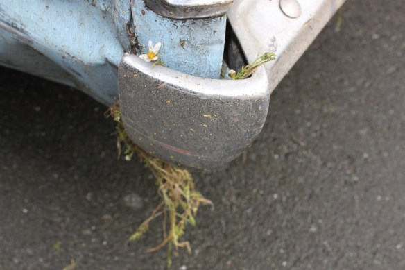 Post shunt flower power