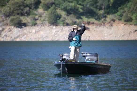 How big do they get here?