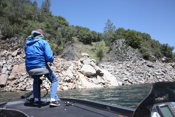 White grey rock was MONEY