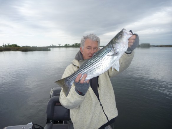 Tuxedo Junction near Venice Island