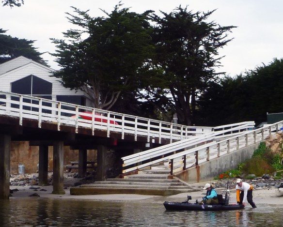 Braving the shorebreak