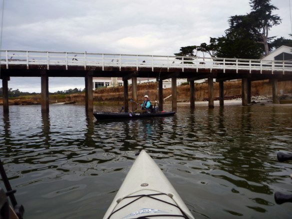 MIss Pebble Beach 2013