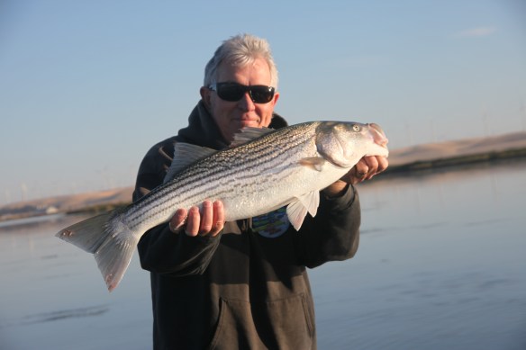 Smug mug, blood on the rug