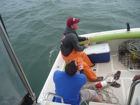 P1070827 - Copy (2) - Copy