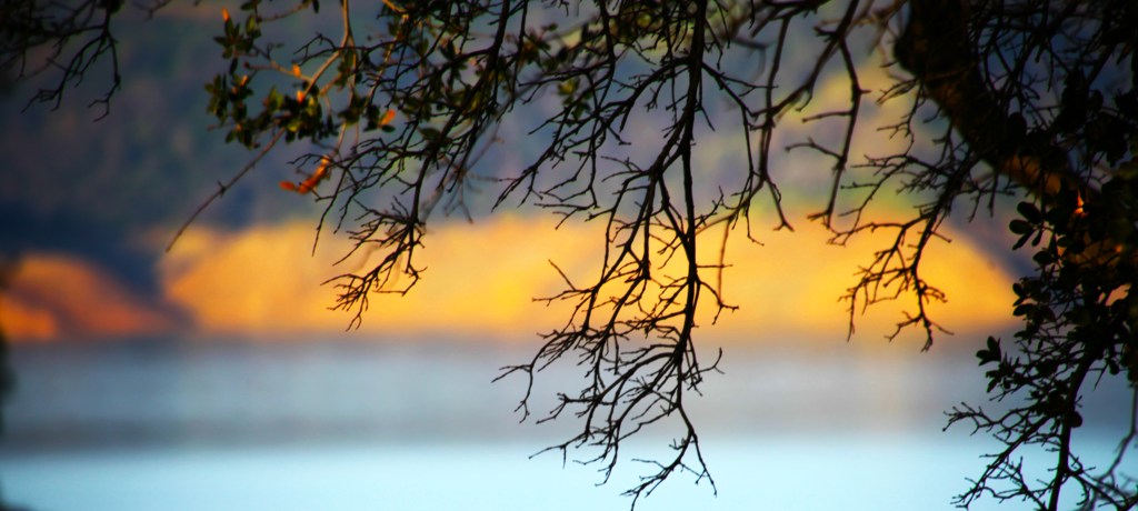 January fishing trip to Oroville